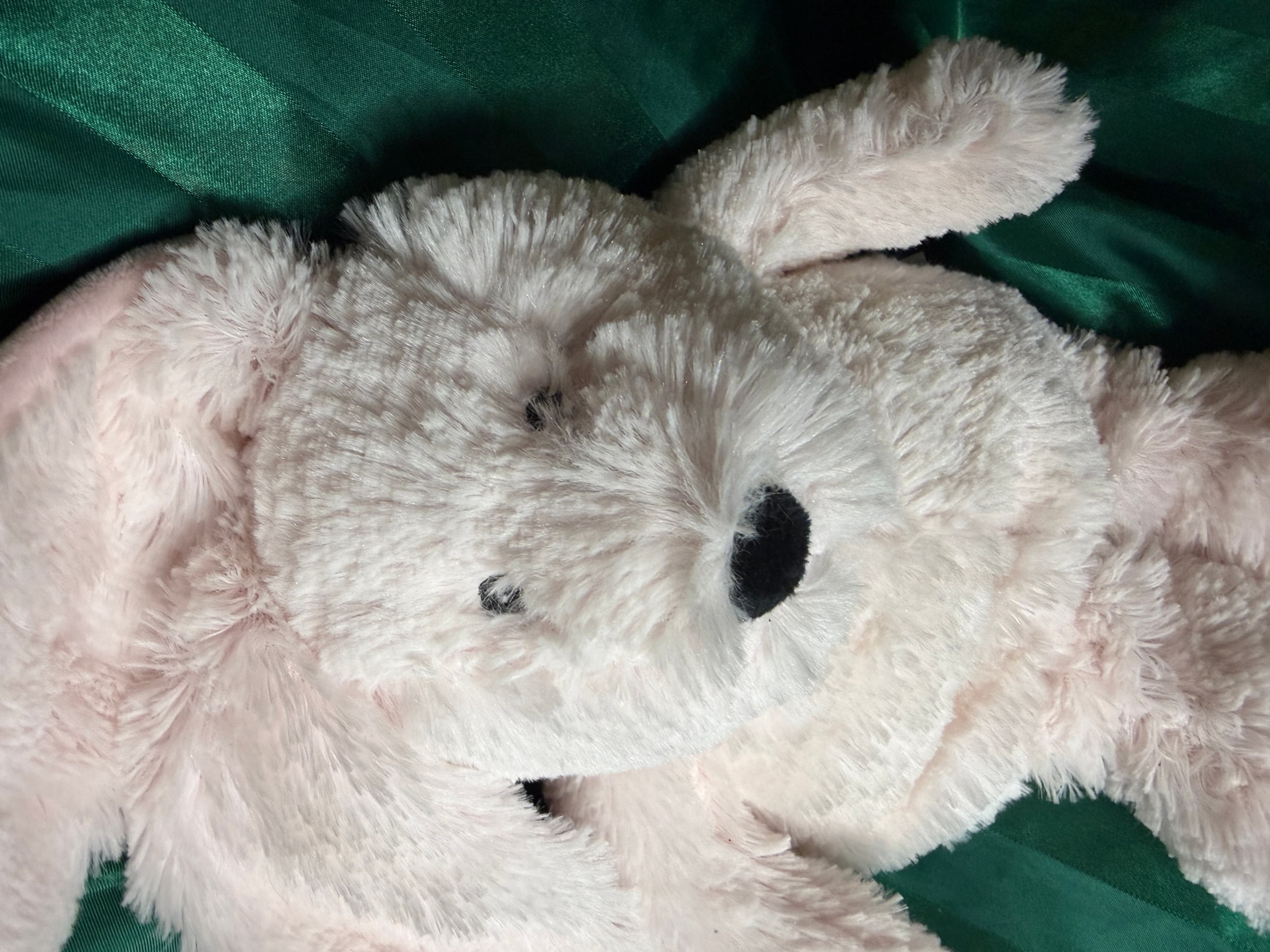 Intelex Warmies Plush Bunny with Lavender Scent - Thumbnail 6