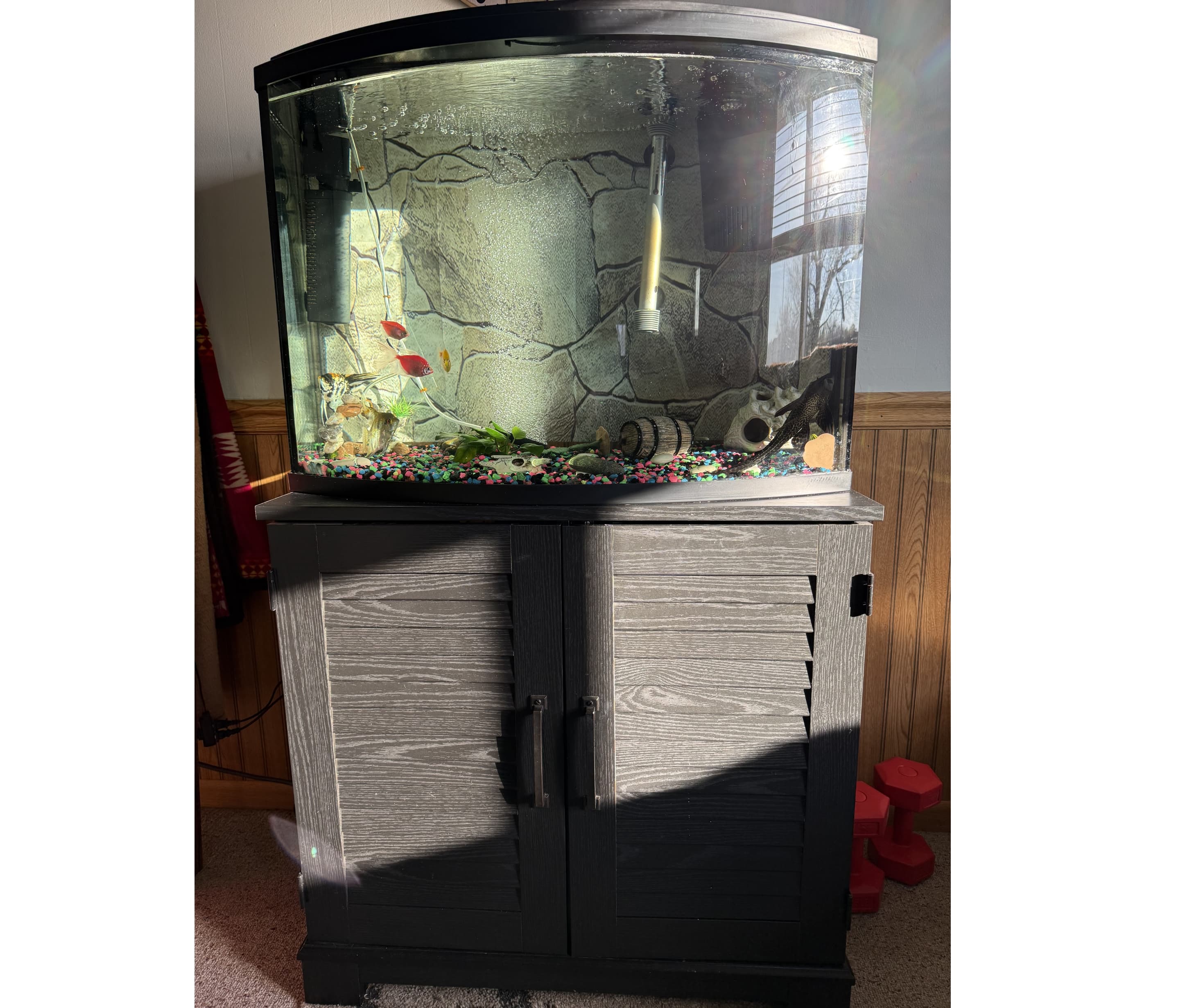 Fish tank and stand, supplies etc