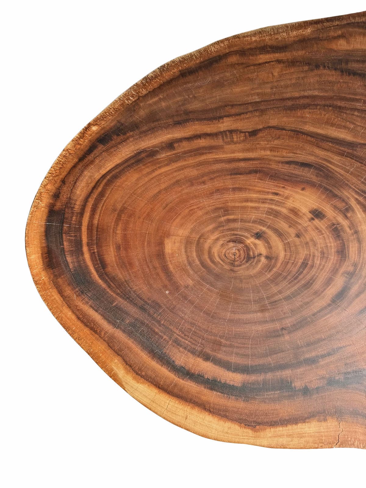 Natural Edge Slab Coffee Table - Thumbnail 4
