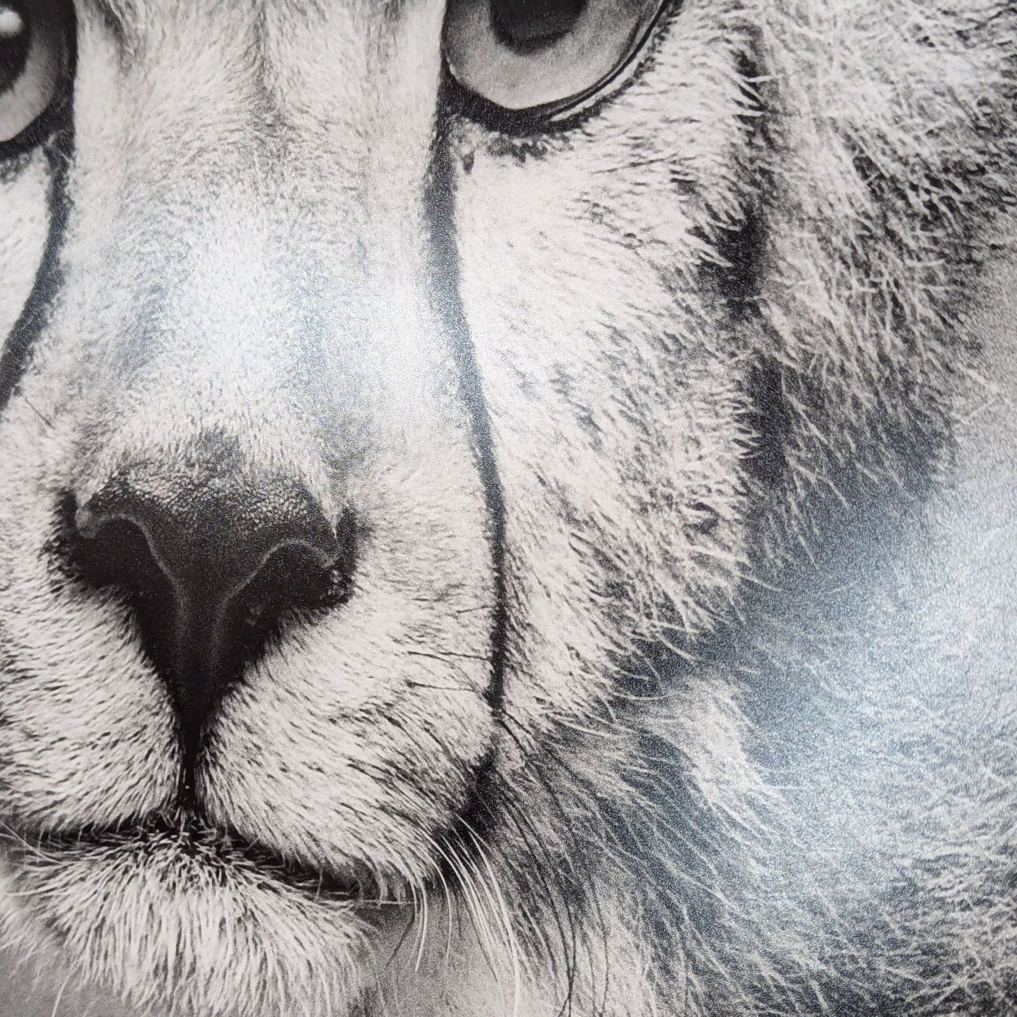 Alexander Von Reiswitz Limited Edition “Mali” Print from Lumas - Thumbnail 4