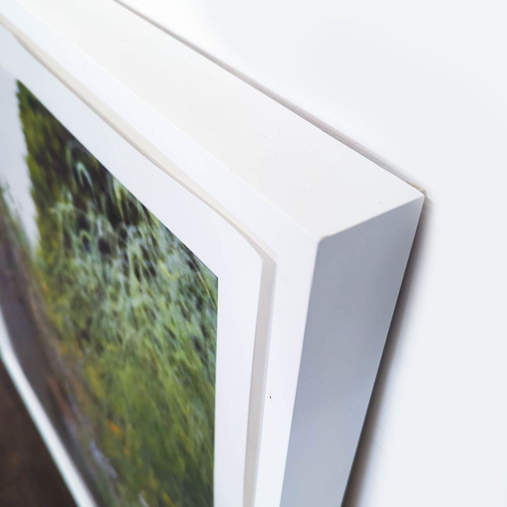 Kimberly Carr Harmon Photography Framed Garden Pathway Print - Thumbnail 2