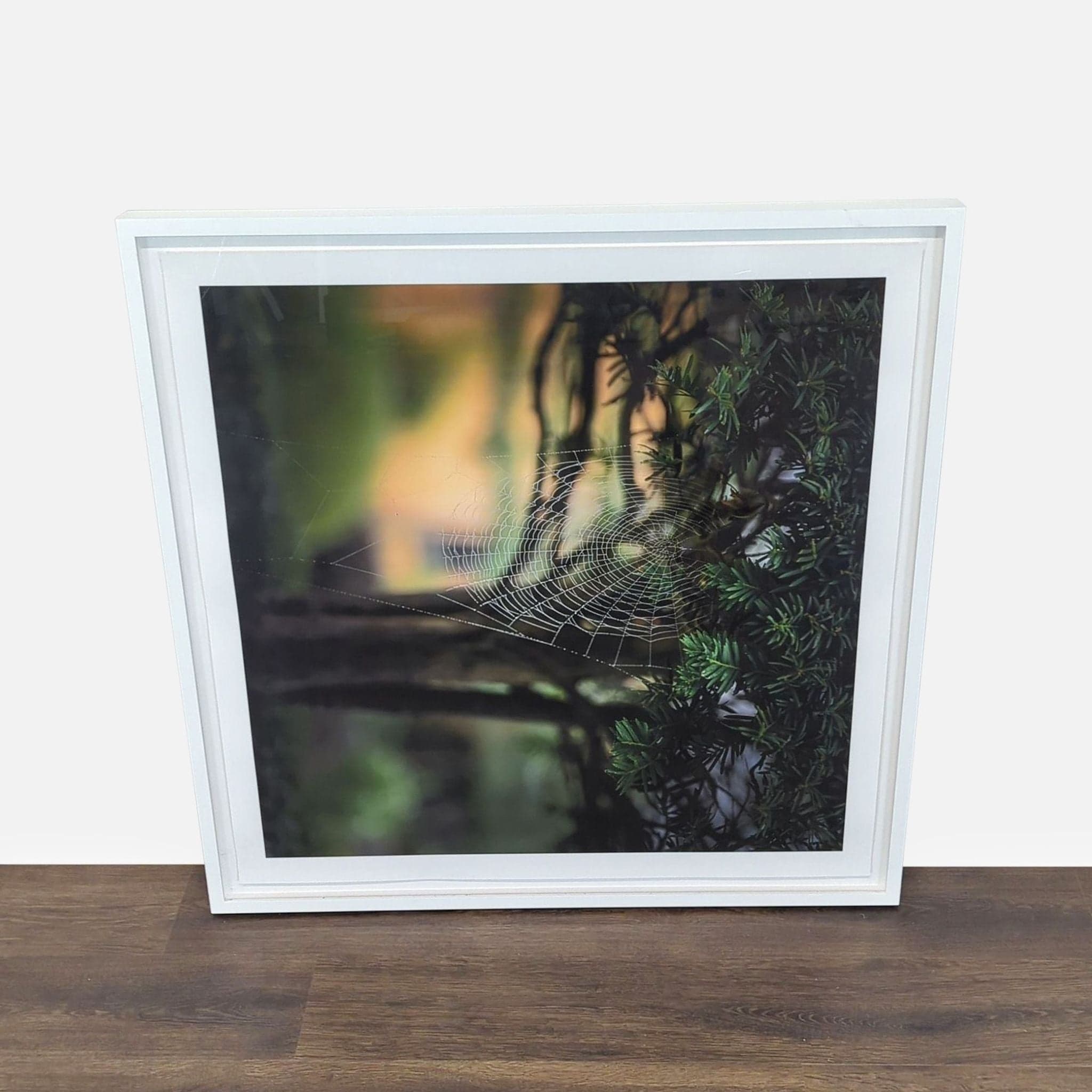 Kimberley Carr Harmon Photography Framed Spider Web Print - Image 1