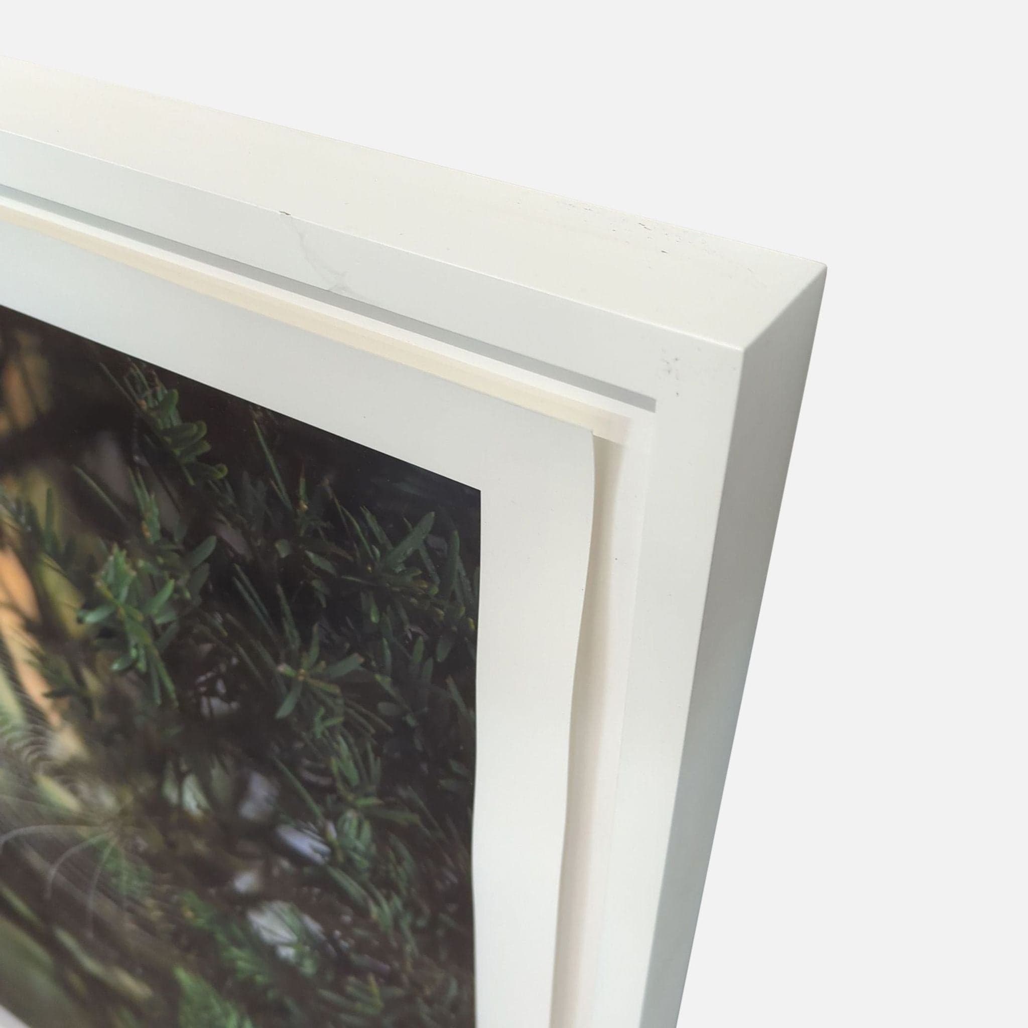 Kimberley Carr Harmon Photography Framed Spider Web Print - Thumbnail 2