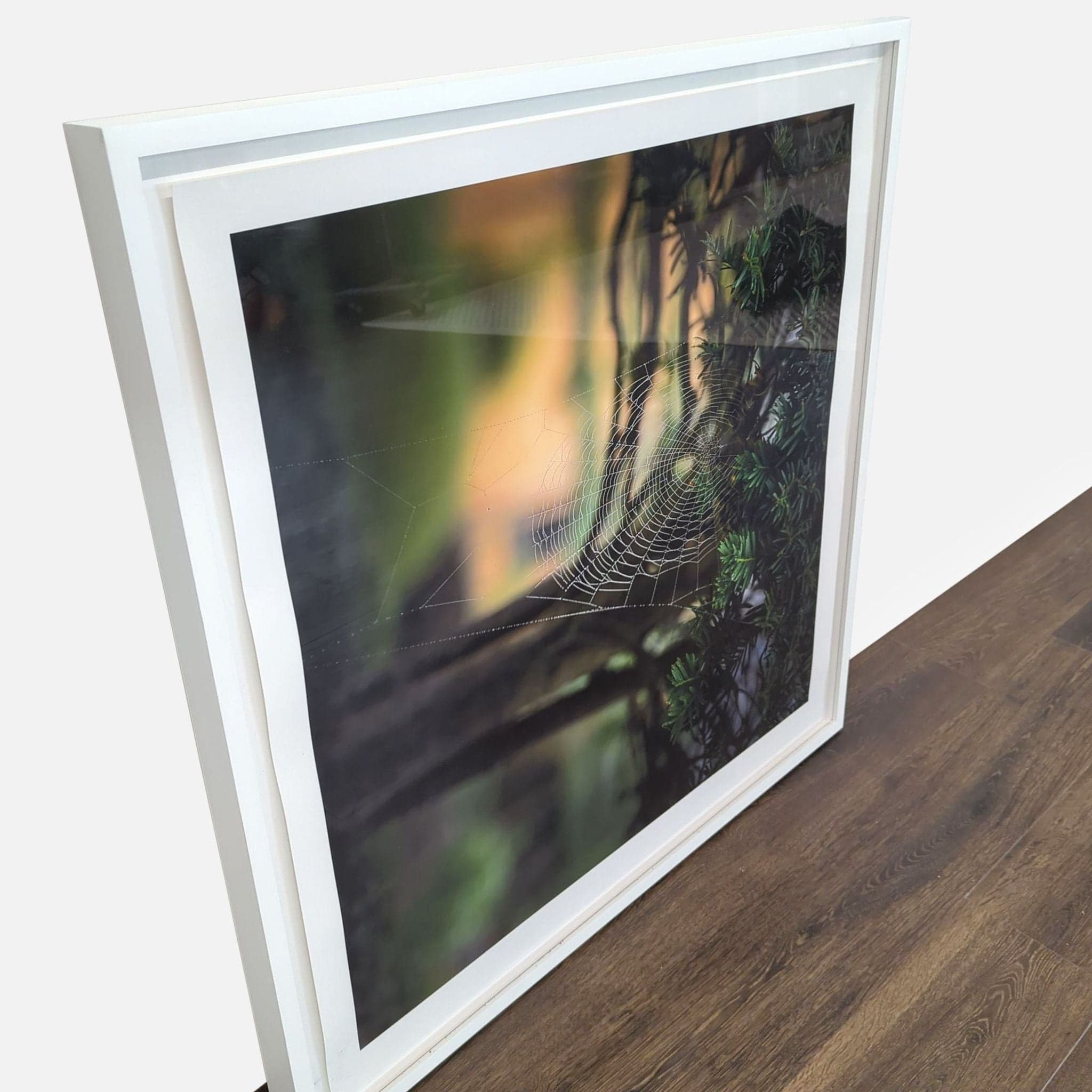 Kimberley Carr Harmon Photography Framed Spider Web Print - Thumbnail 3
