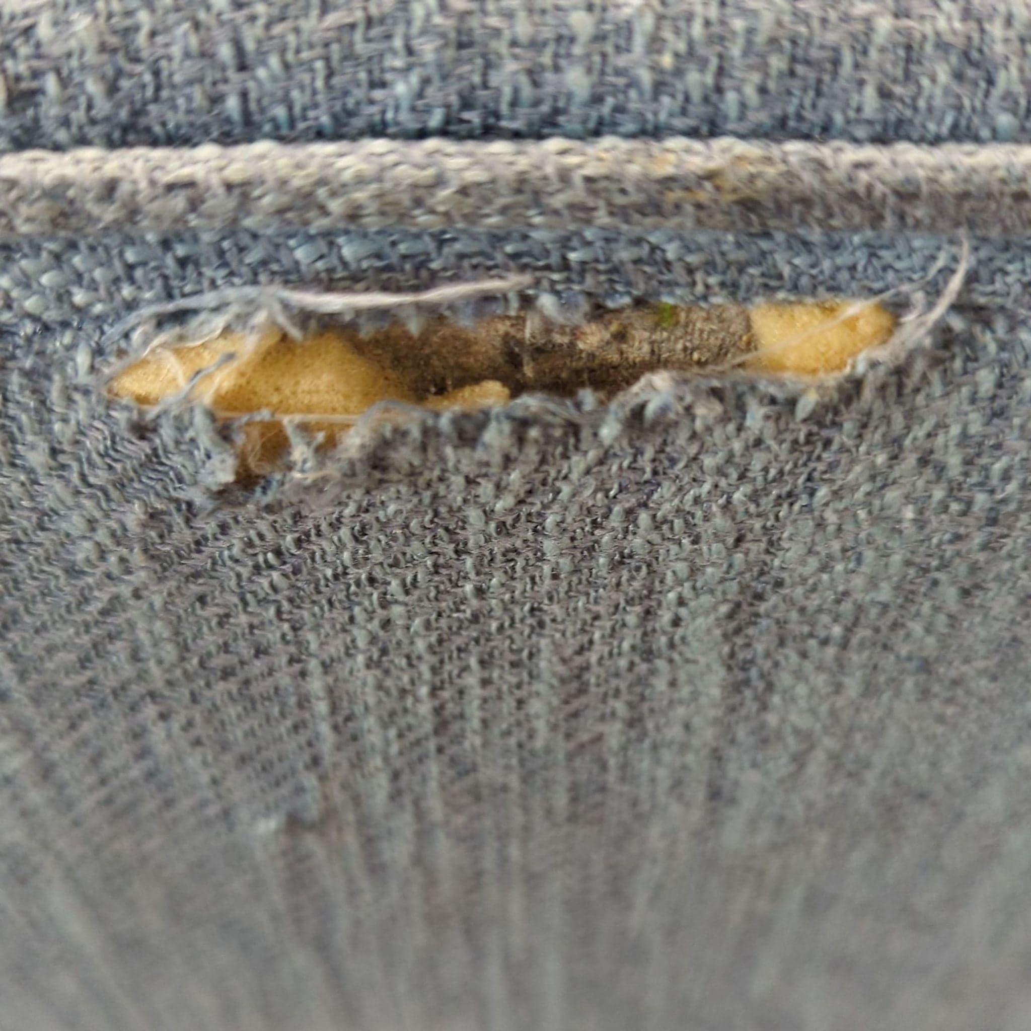 Noble House Home Wingback Button Tufted Bar Stool - Thumbnail 3