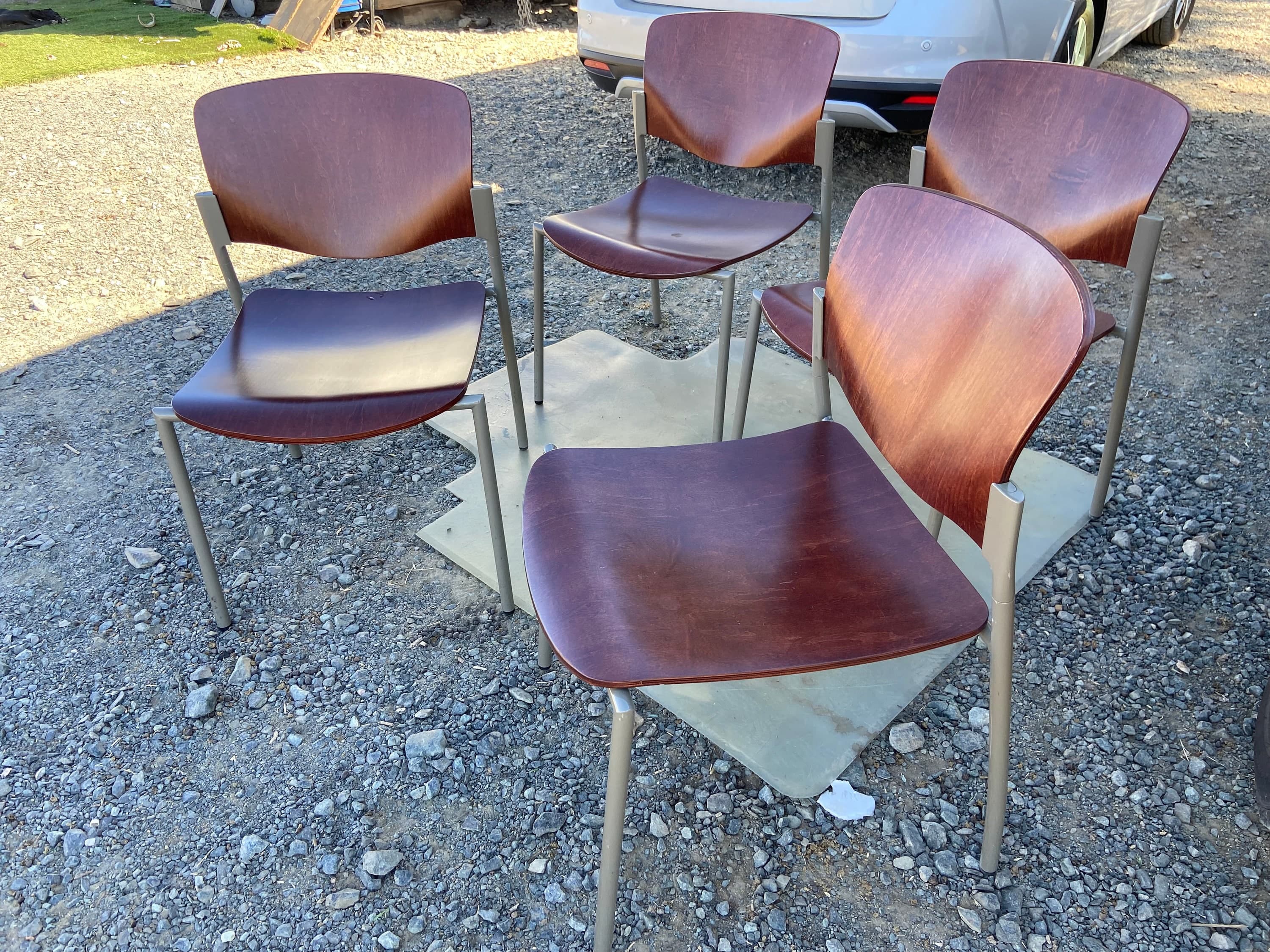 Modern bent plywood dining chairs - Thumbnail 2