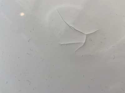 Eero Saarinen Knoll Tulip Style Round Table 60” Laminate Top – Unmarked Damaged - Thumbnail 4