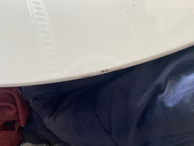 Eero Saarinen Knoll Tulip Style Round Table 60” Laminate Top – Unmarked Damaged - Thumbnail 12