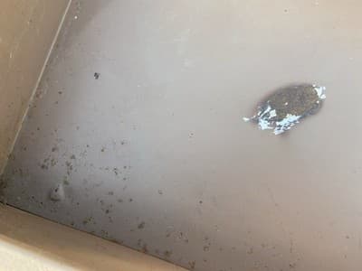 Vintage Standford University Steel Tanker Desk Table It Has Patina - Thumbnail 4