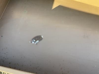 Vintage Standford University Steel Tanker Desk Table It Has Patina - Thumbnail 22