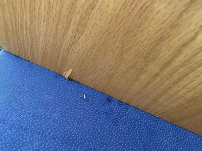 Vintage Mid  Century Modern Oak Veneer Desk  And Paul mccobb Cane Chair Style - Thumbnail 15