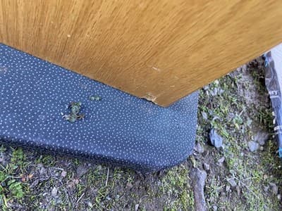 Vintage Mid  Century Modern Oak Veneer Desk  And Paul mccobb Cane Chair Style - Thumbnail 13