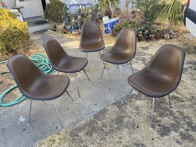 Vintage Herman Miller Eames Side Chairs Dark Brown  Mid Century Modern Set Of 5 - Thumbnail 2