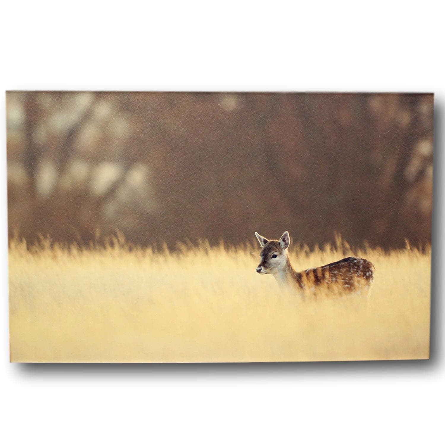 Framed Art - Small One - Thumbnail 2