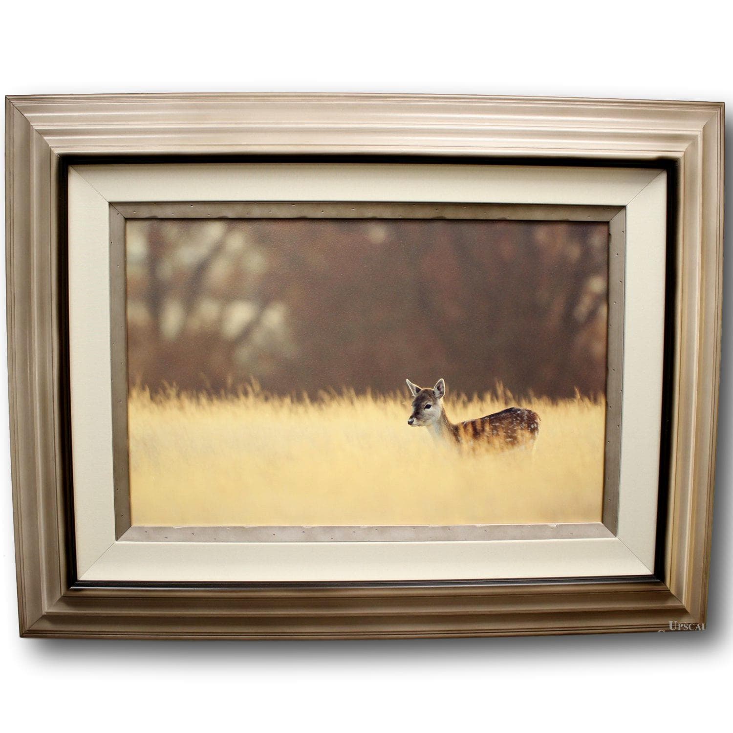 Framed Art - Small One - Image 1