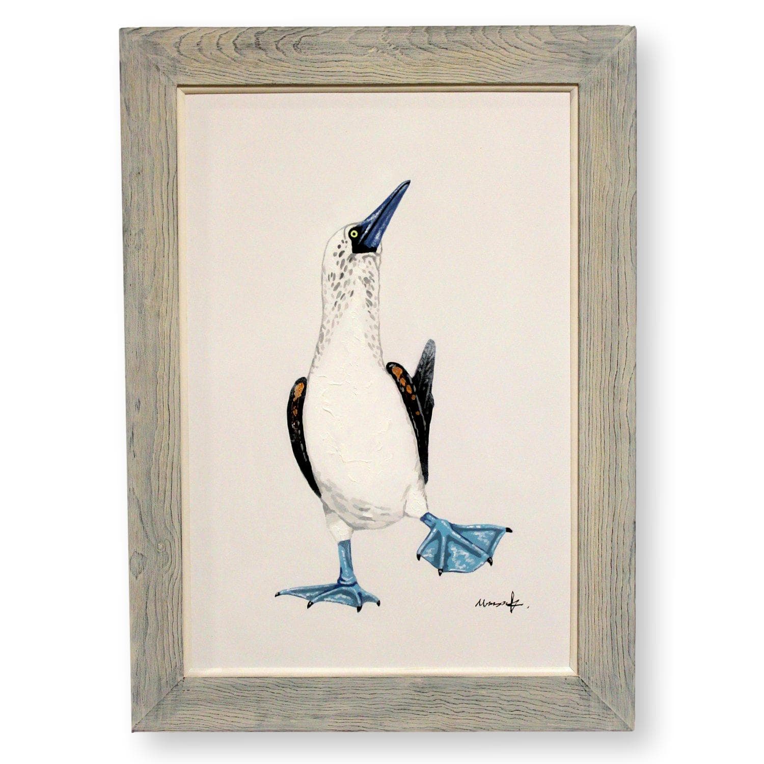 Framed Original Oil Blue Footed Booby - Image 1