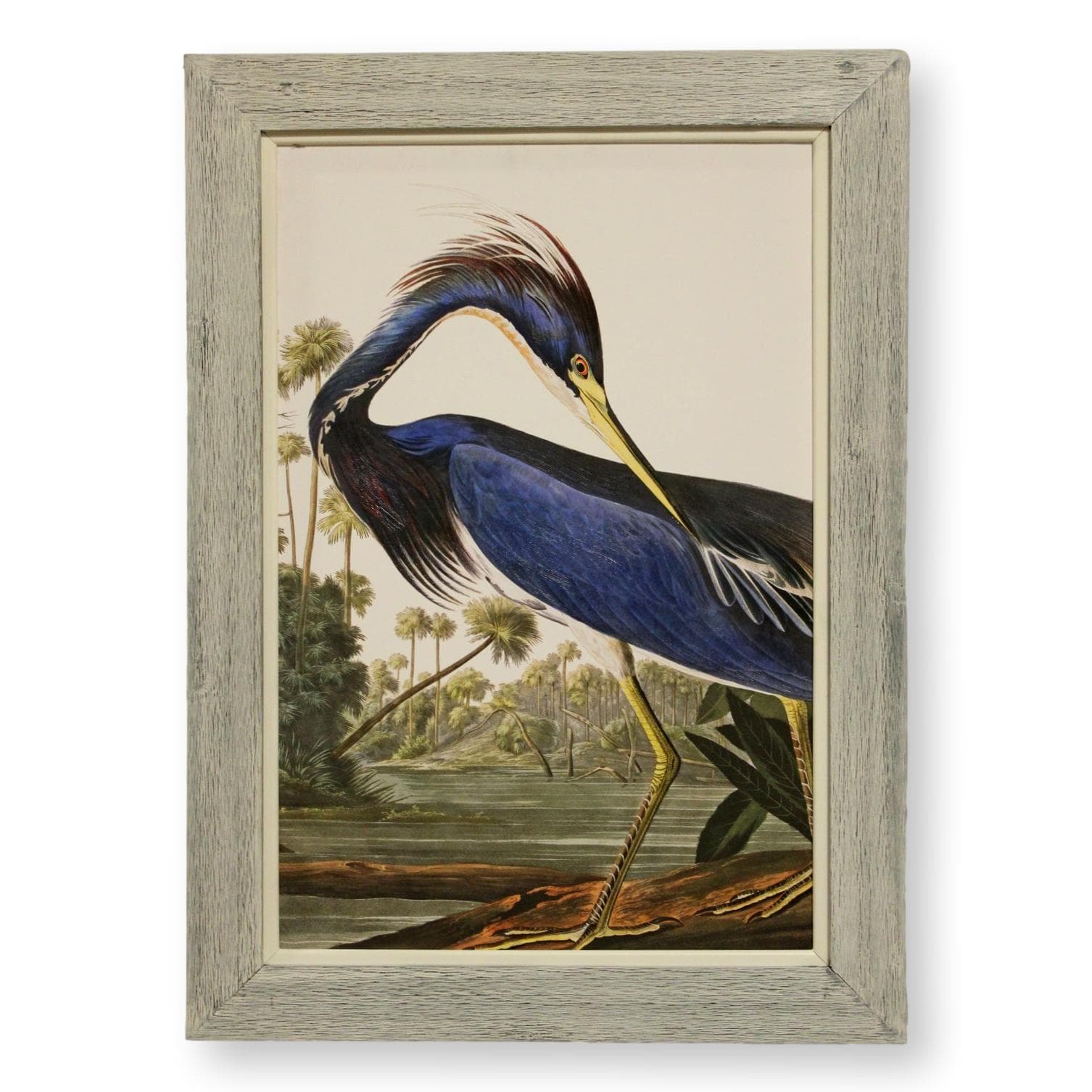 Framed Retouched Print Blue Heron - Image 1