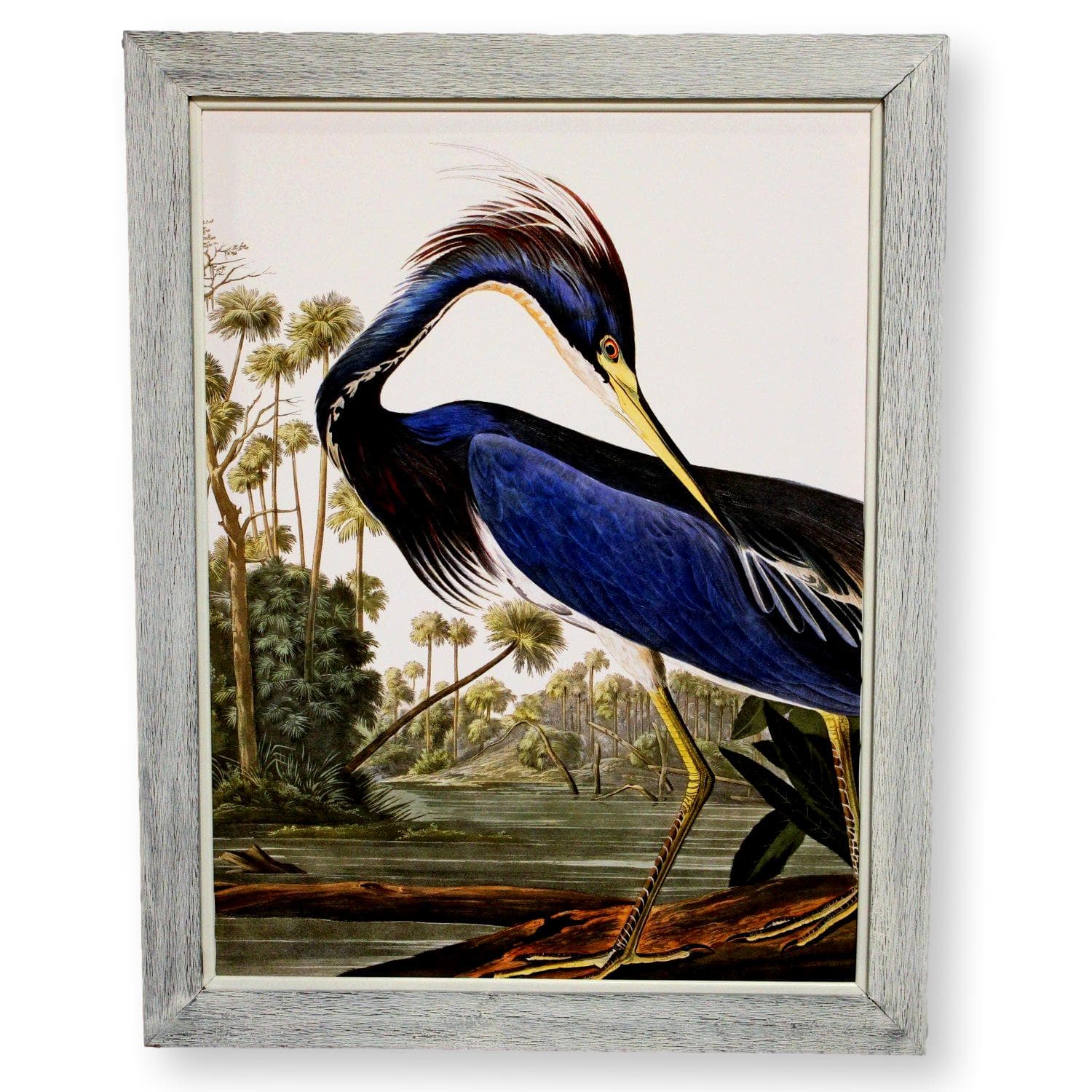 Framed Original Oil Blue Tropical Heron - Image 1