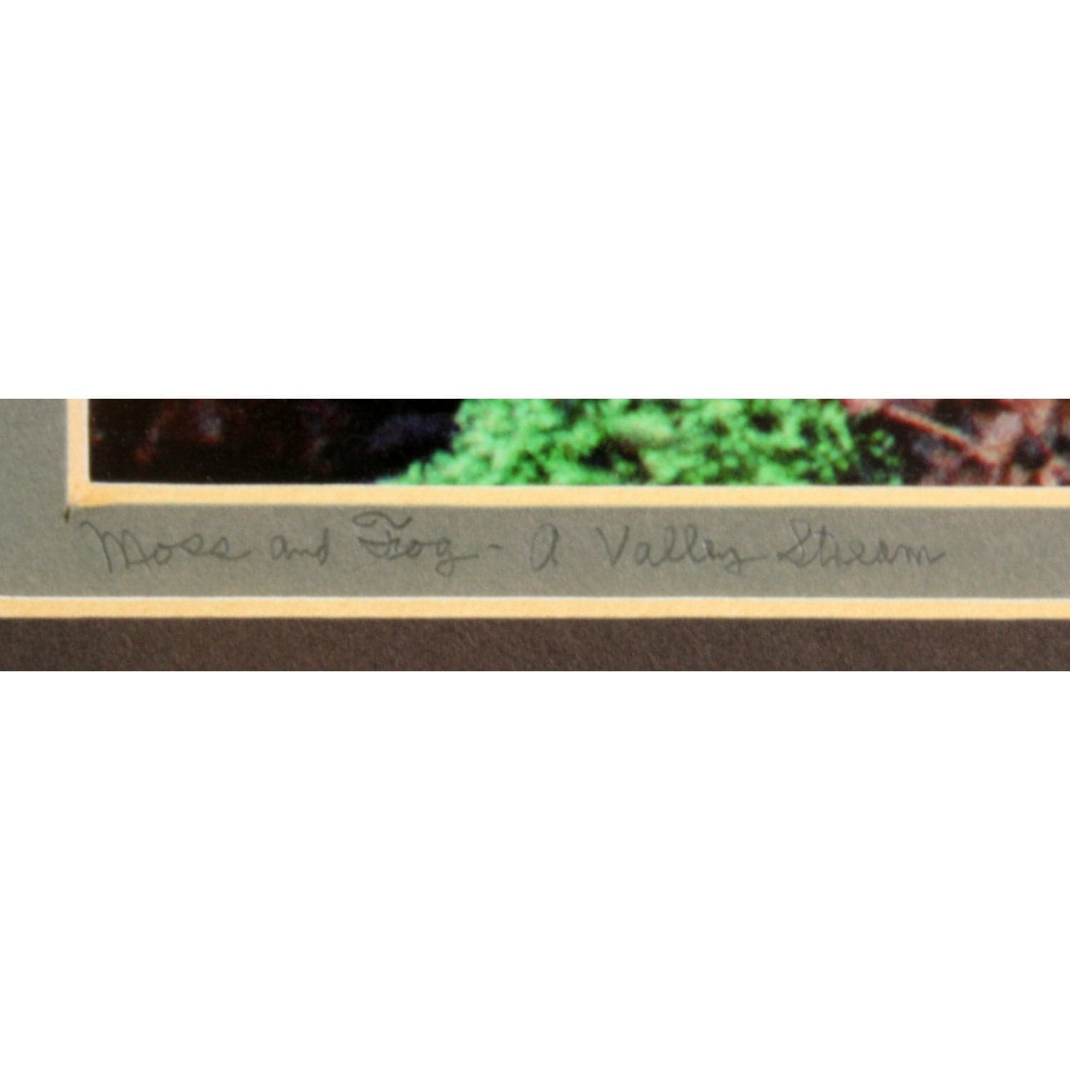 'Moss and Fog - a Valley Stream' Framed LE Print By Paul & Marilyn Peck - Thumbnail 3