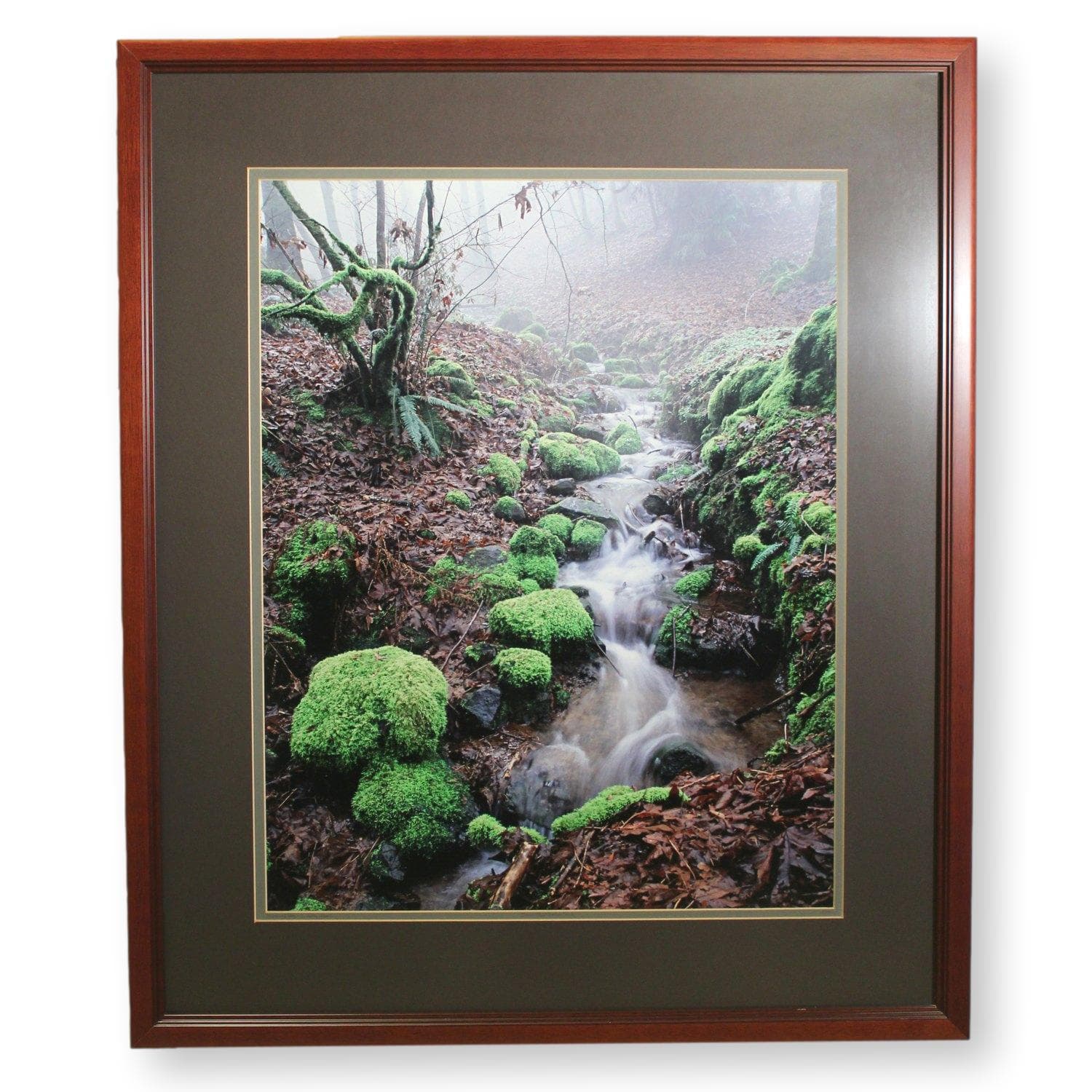 'Moss and Fog - a Valley Stream' Framed LE Print By Paul & Marilyn Peck - Image 1