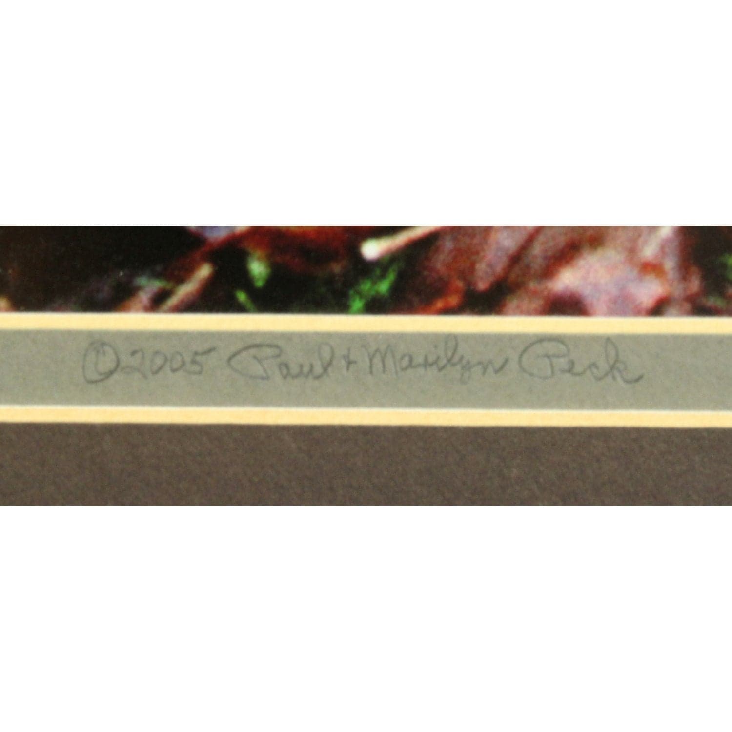 'Moss and Fog - a Valley Stream' Framed LE Print By Paul & Marilyn Peck - Thumbnail 4