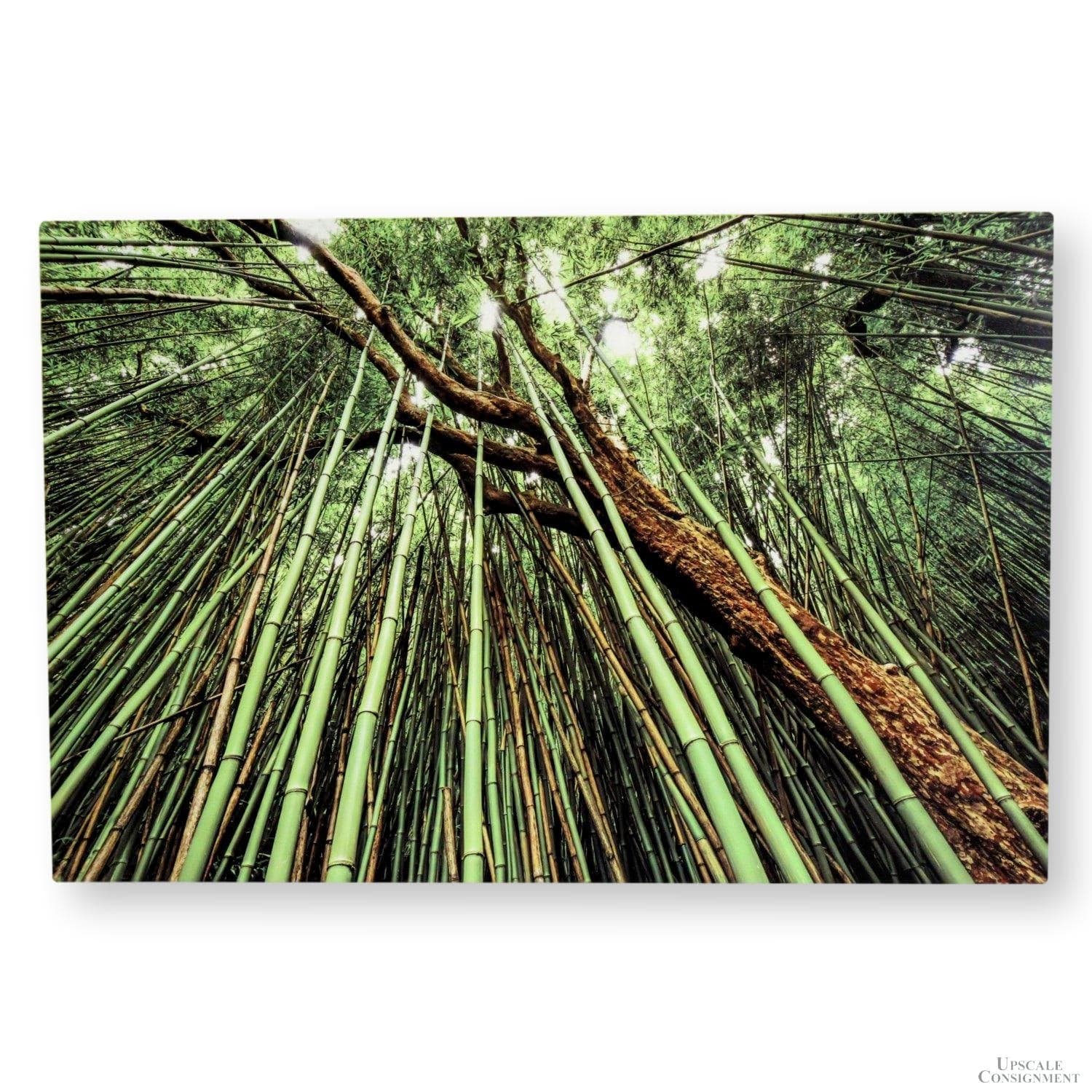 Infused Aluminum Print "Expansion" by Peter Blanchard - Image 1