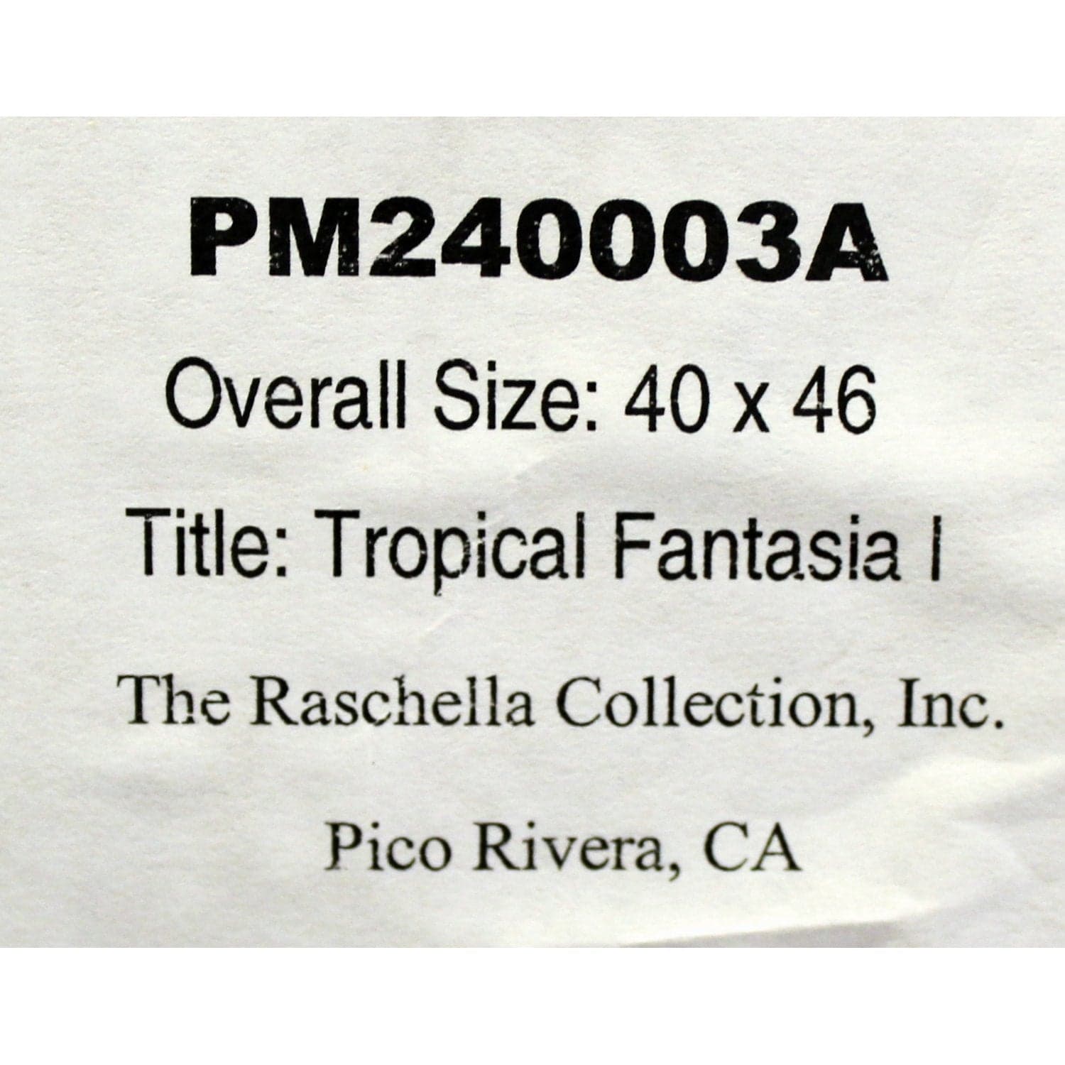 Framed Art - 'Tropical Fantasia I' - Thumbnail 4