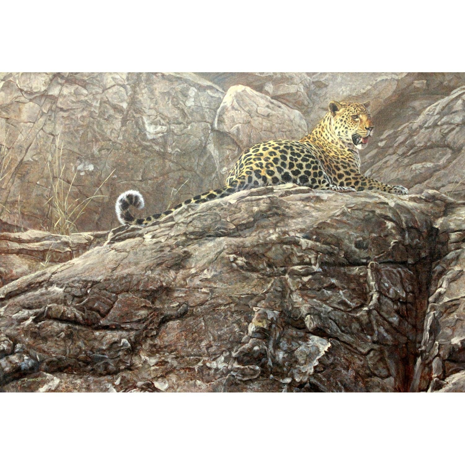 Framed Limited Edition Giclee "First Light" by John Banovich - Thumbnail 2