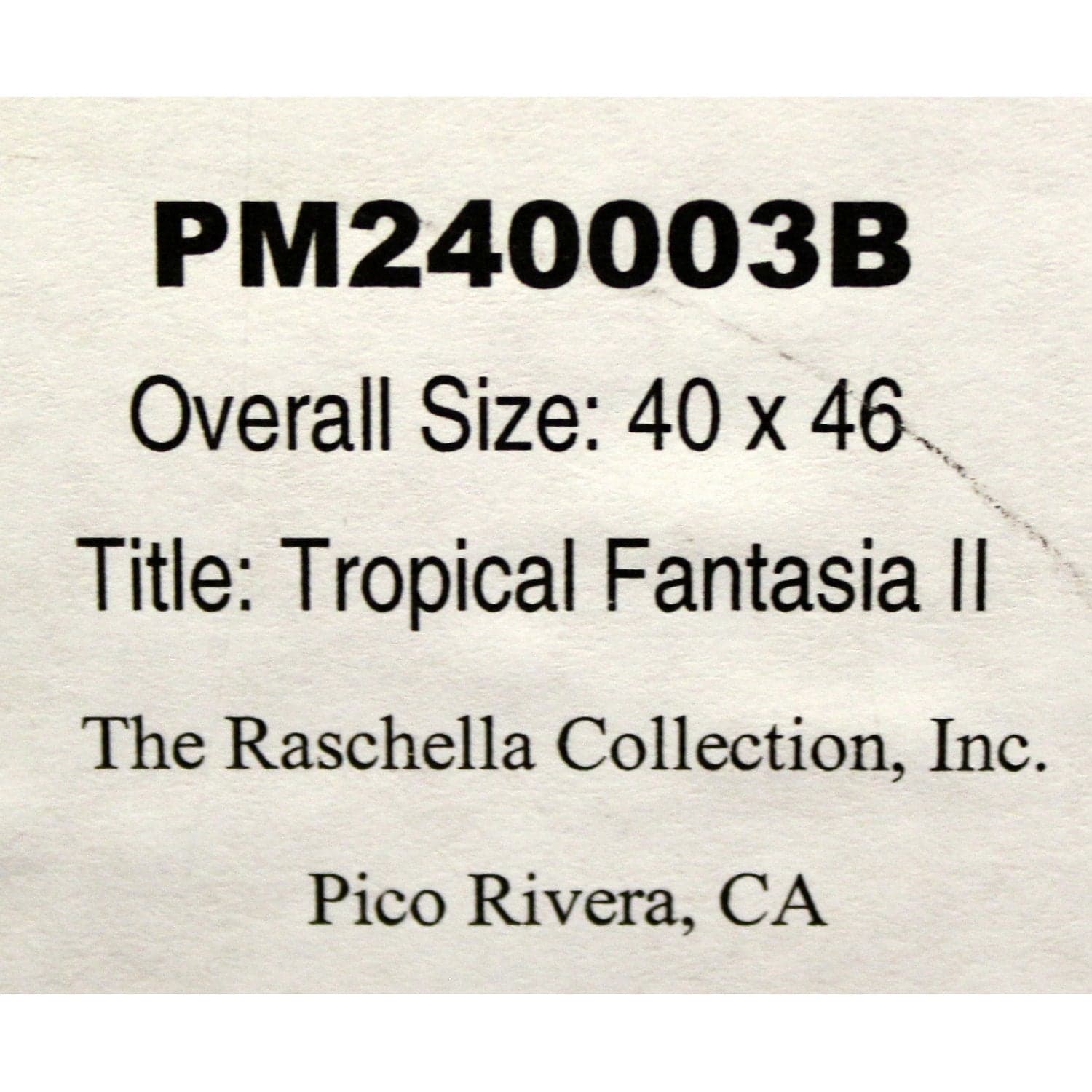 Framed Art - 'Tropical Fantasia II' - Thumbnail 4