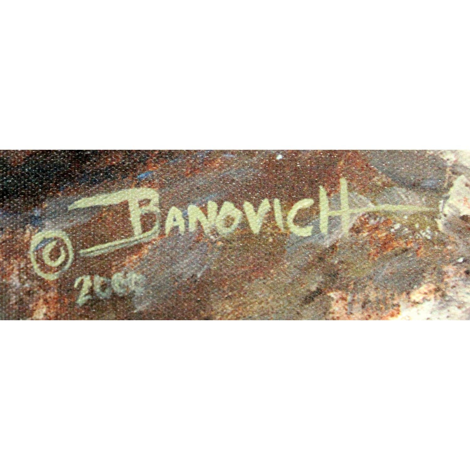 Framed Limited Edition Giclee "First Light" by John Banovich - Thumbnail 5