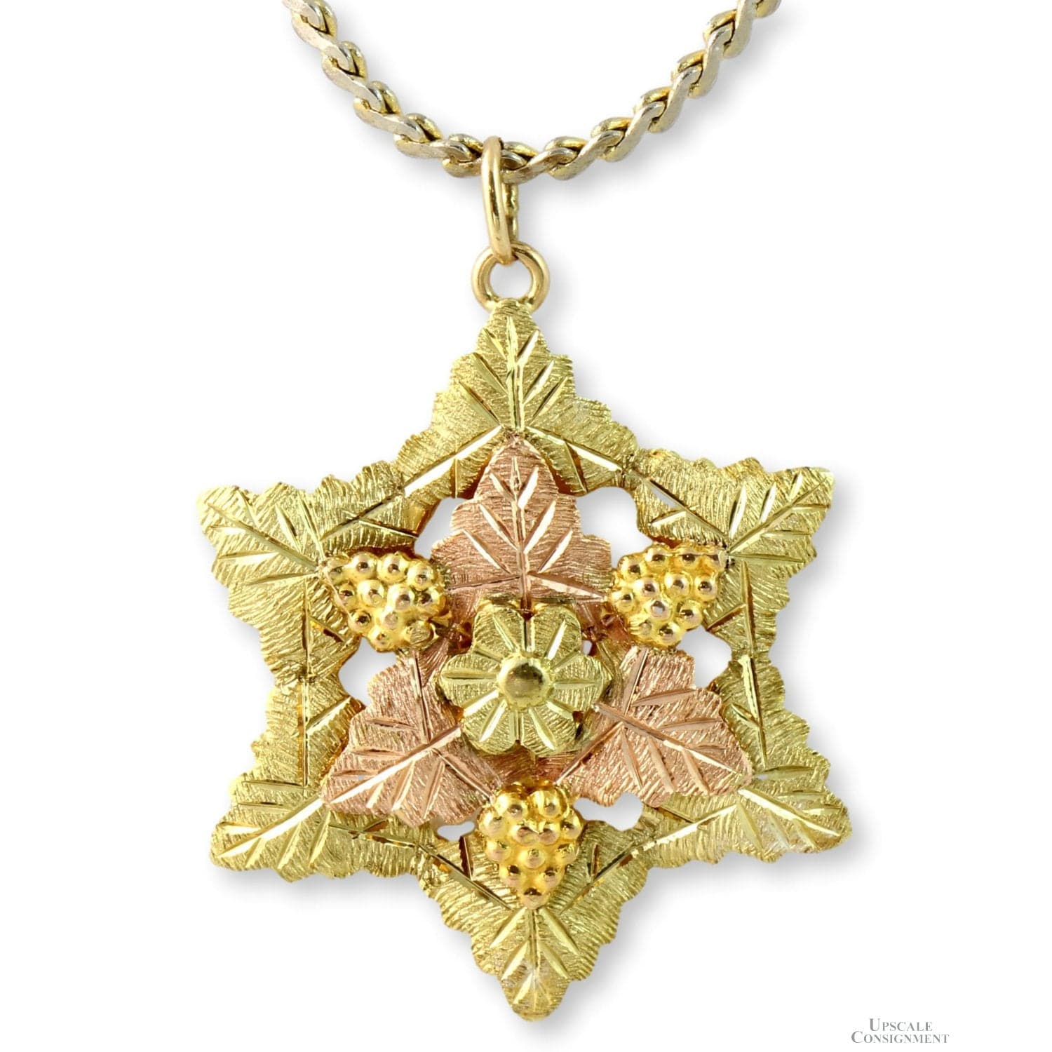 10K Yellow Gold BHG Star Pendant & Gold Tone Chain - 24 in - Image 1