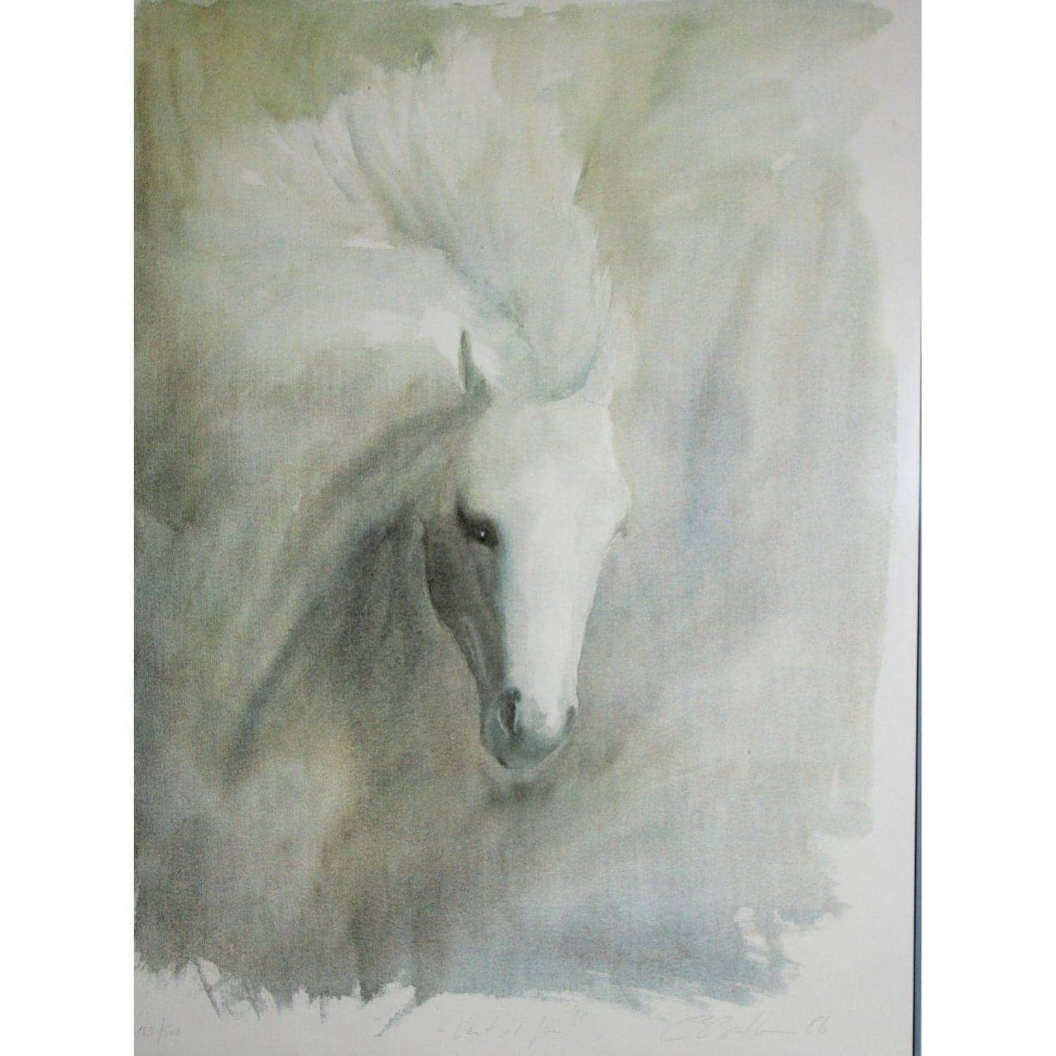 Framed Limited Edition Print - Horse - Thumbnail 2