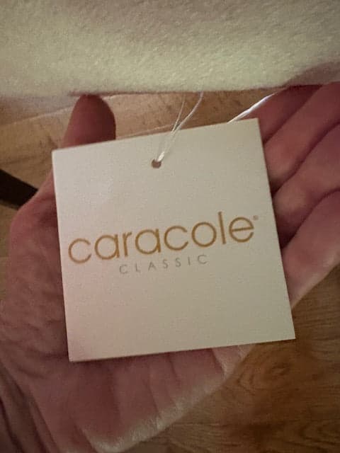 Set of 6 Caracole Classic Natural Beige Dining Side Chairs KP-1 - Thumbnail 9