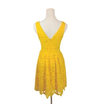 GB Yellow Lace Fit And Flare Mini Dress Size S Deep V Sleeveless Scalloped Hem - Thumbnail 3