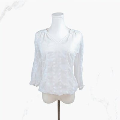 Olive & Oak White Semi-Sheer Embroidered Blouse XS 3/4 Sleeves V-Neckline - Image 1
