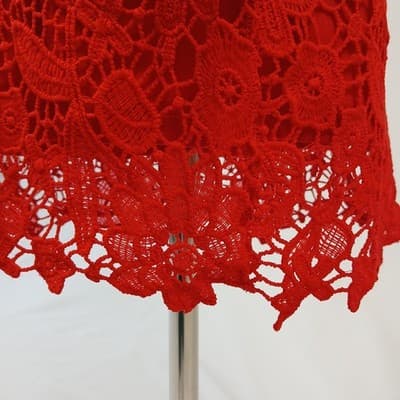 Eilly Bazar Red Sleeveless Lace Overlay Mini Cocktail Dress S - Thumbnail 7