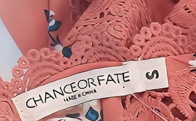 NWOT Chance Or Fate Burnt Orange Floral Lace Relaxed Fit Blouse S - Thumbnail 6