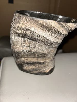 Short Buffalo Bull Horn Drinking Cup/ Viking Style/ 9” Drinking Cup/ No Handle - Image 1
