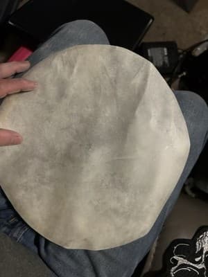 12” Rawhide Lamb Skin For Tamba. I Have 6 Skins For 20$ Messages For More Pics - Thumbnail 2