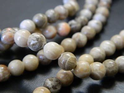 Fossil Stone 8 mm Natural Chrysanthemum Coral Fossil Stone Beads - Thumbnail 5