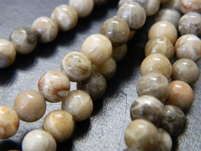 Fossil Stone 8 mm Natural Chrysanthemum Coral Fossil Stone Beads - Thumbnail 3