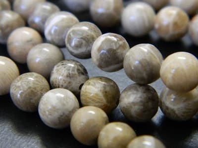 Fossil Stone 8 mm Natural Chrysanthemum Coral Fossil Stone Beads - Thumbnail 10