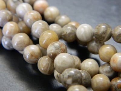 Fossil Stone 8 mm Natural Chrysanthemum Coral Fossil Stone Beads - Thumbnail 2