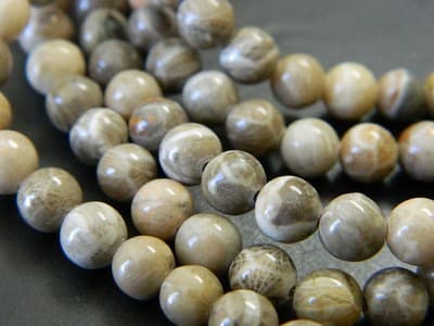 Fossil Stone 8 mm Natural Chrysanthemum Coral Fossil Stone Beads - Image 1