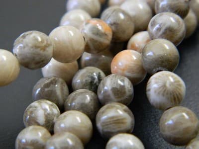 Fossil Stone 8 mm Natural Chrysanthemum Coral Fossil Stone Beads - Thumbnail 9