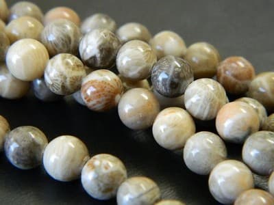 Fossil Stone 8 mm Natural Chrysanthemum Coral Fossil Stone Beads - Thumbnail 8