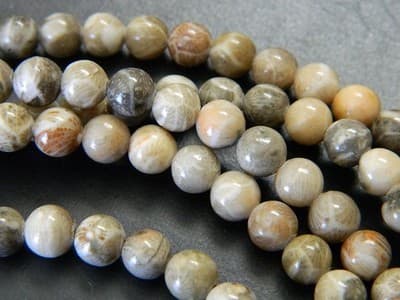 Fossil Stone 8 mm Natural Chrysanthemum Coral Fossil Stone Beads - Thumbnail 7