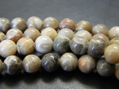 Fossil Stone 8 mm Natural Chrysanthemum Coral Fossil Stone Beads - Thumbnail 6