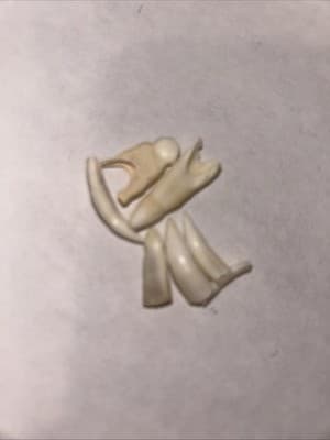 Louisiana,A.S.A. Aligator Teeth. - Thumbnail 3