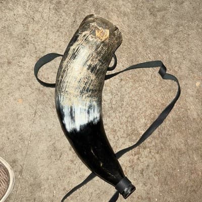 Real Bull Ox Horn /Sounding Horn/Viking Horn - Image 1